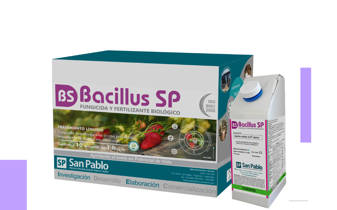Bacillus.SP